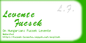 levente fucsek business card